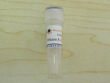 RNase A (100mg/ml)